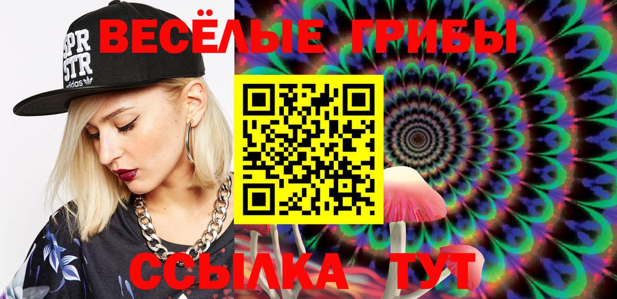 Строитель  Галлюциногенные грибы Psilocybe  Вход с VPN 